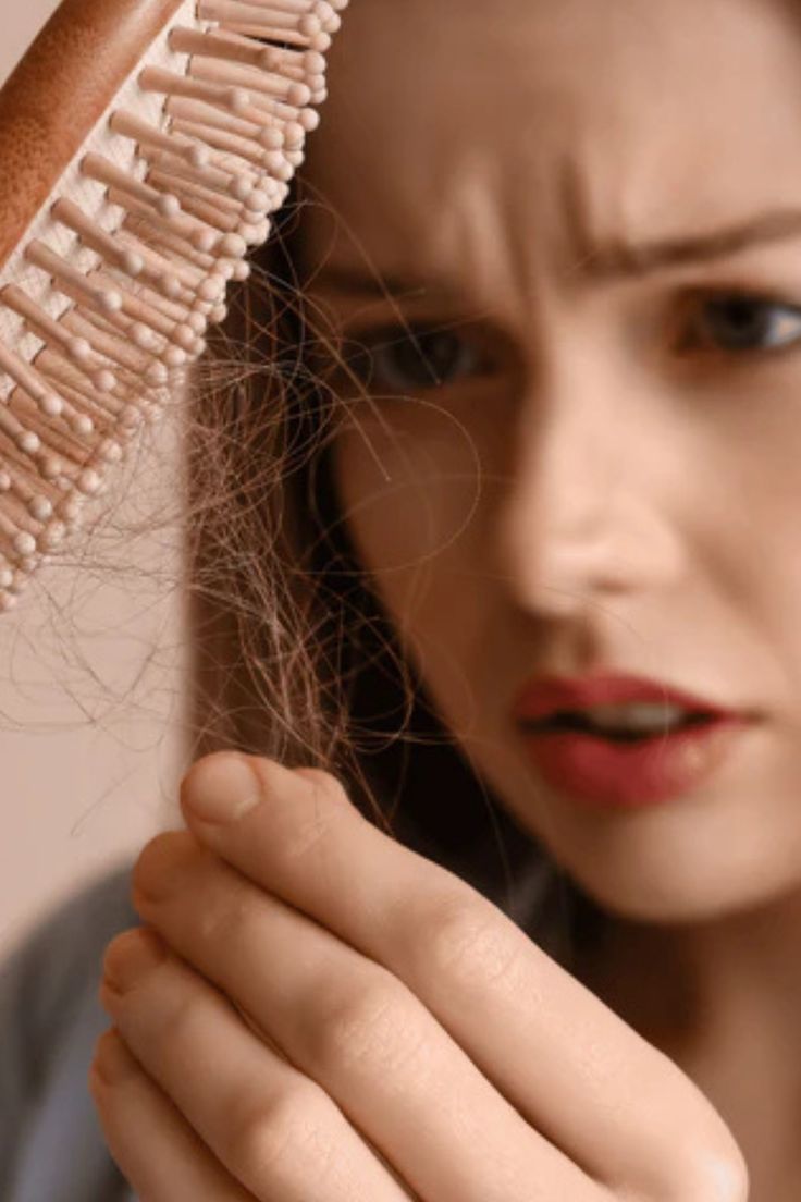 Зовнішній вигляд